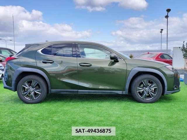 Lexus UX 2019-05 7802317-17