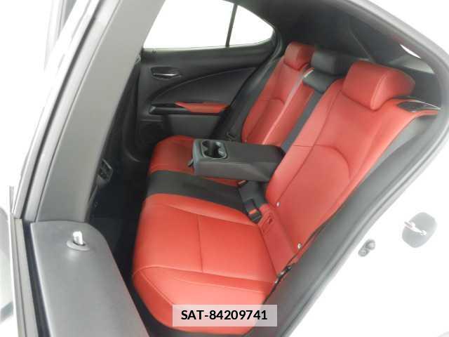 Lexus UX 2019-04 7810853-17