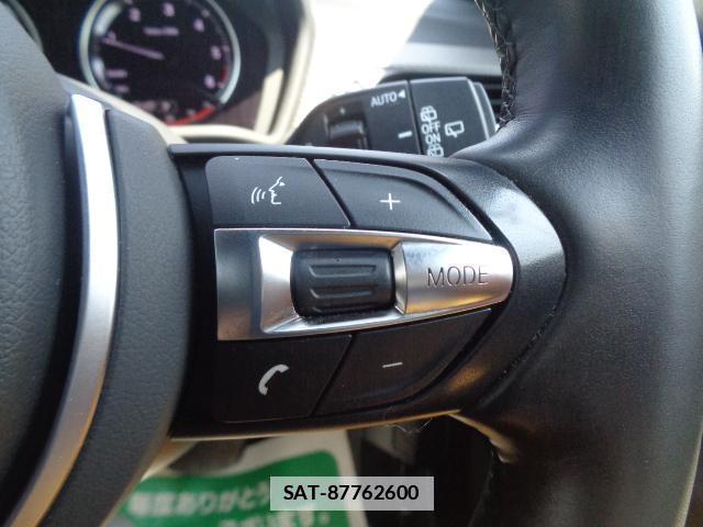 Bmw X2 2019-06 7810025-18