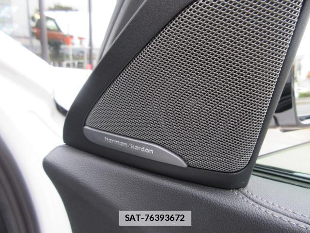 Bmw X6 2022-01 7804355-11