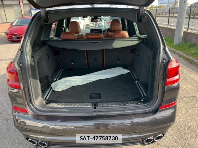 Bmw Alpina XD3 2019-02 7804008-18