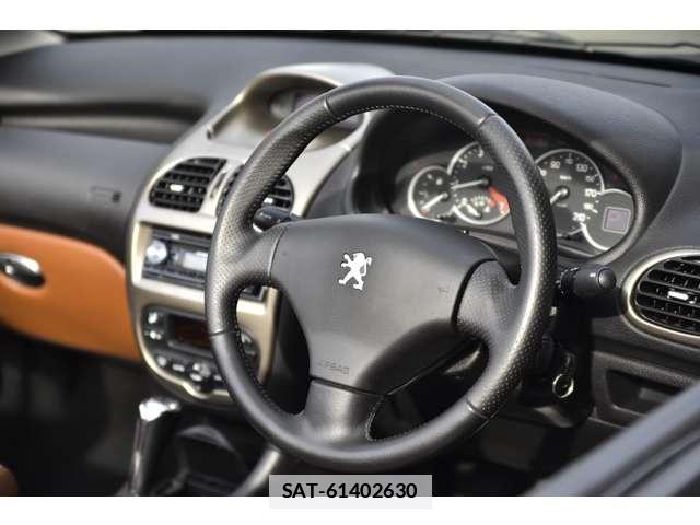 Peugeot 206 2005-09 7819014-2
