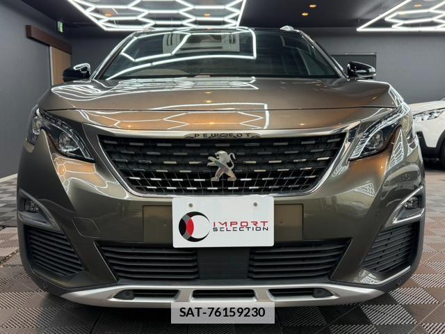 Peugeot 3008 2020-03 7816887-5