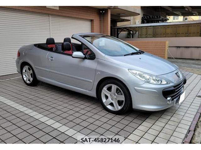Peugeot 307 2007-09 7819646-1