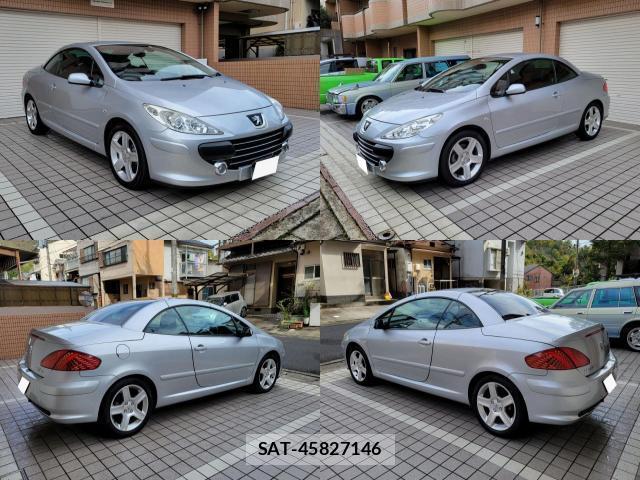 Peugeot 307 2007-09 7819646-10
