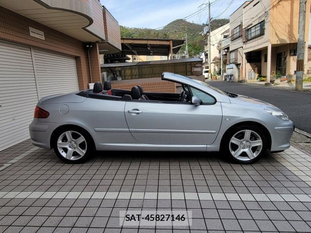 Peugeot 307 2007-09 7819646-2