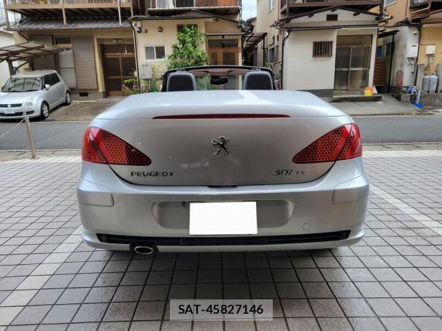 Peugeot 307 2007-09 7819646-4