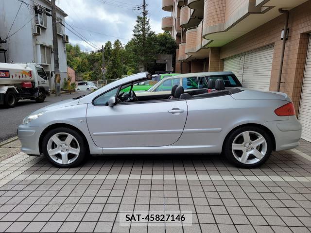 Peugeot 307 2007-09 7819646-6