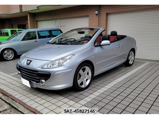 Peugeot 307 2007-09 7819646-8