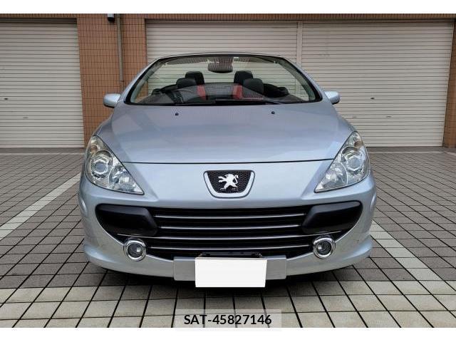 Peugeot 307 2007-09 7819646-9