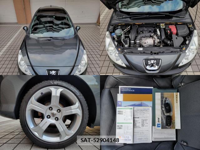 Peugeot 308 2008-09 7819649-10