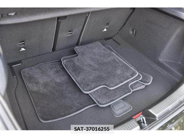 Mercedes Benz A-CLASS 2024-03 7819003-17