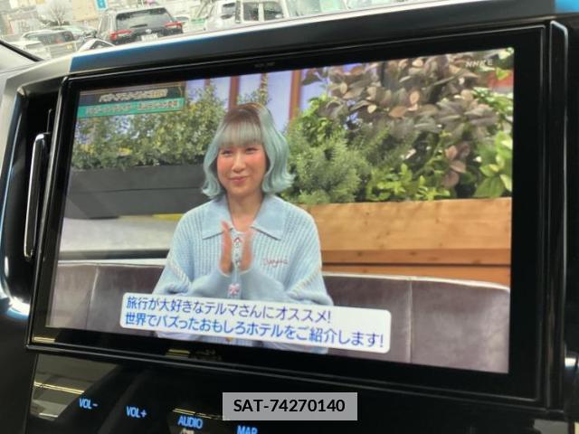 Toyota ALPHARD 2019-05 7822287-12