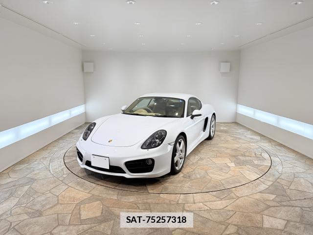 Porsche CAYMAN 2016-01 7817744-0