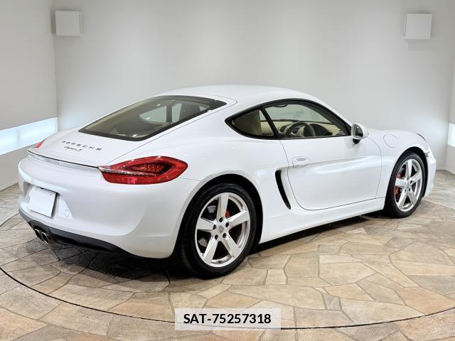 Porsche CAYMAN 2016-01 7817744-2