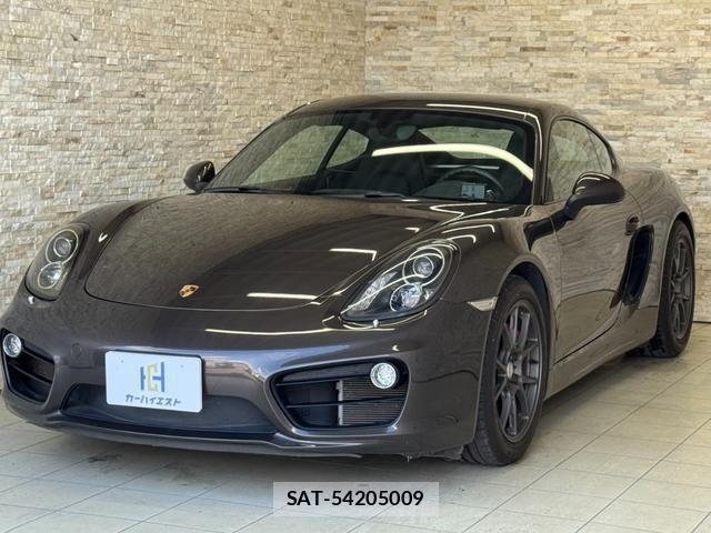 Porsche CAYMAN 2013-07 7818925-1
