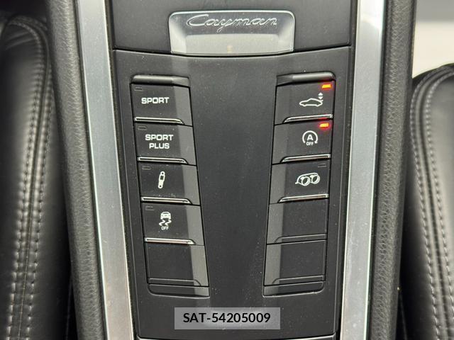 Porsche CAYMAN 2013-07 7818925-19