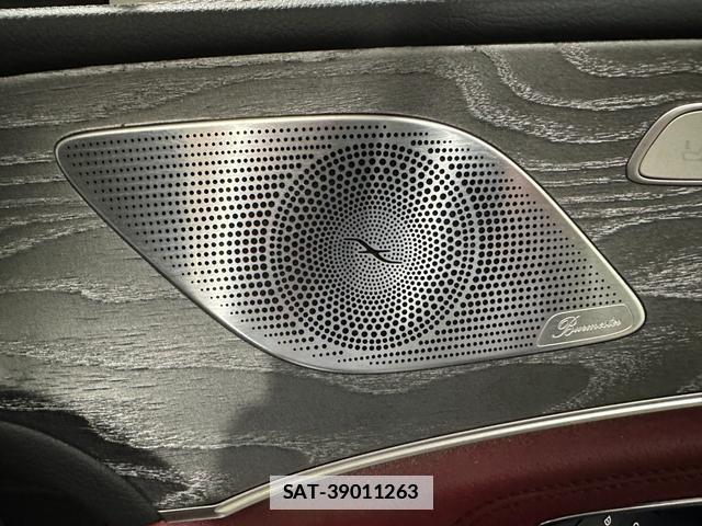 Mercedes Benz CLS-CLASS 2019-04 7814135-18