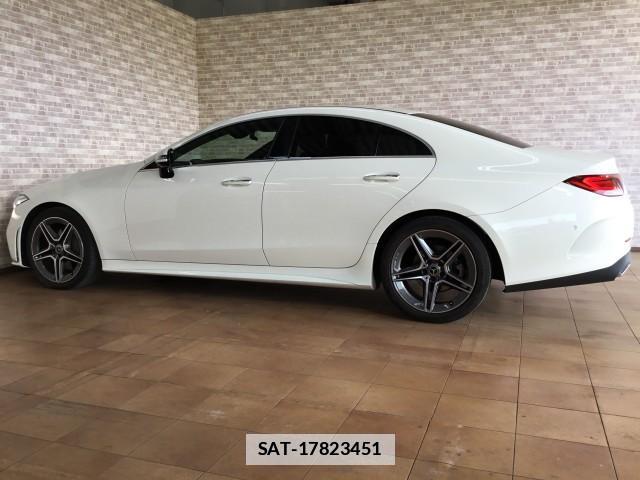 Mercedes Benz CLS-CLASS 2021-03 7817865-7