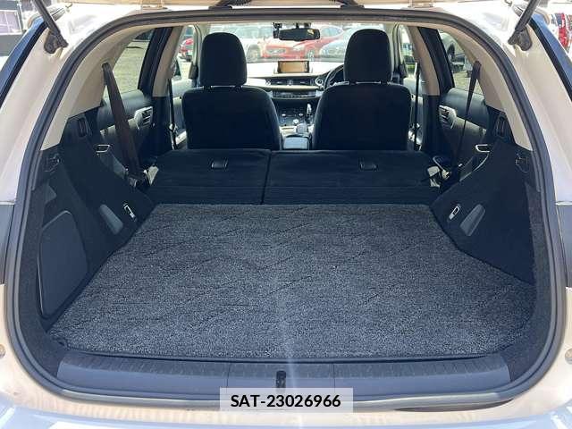 Lexus CT 2011-10 7813820-18