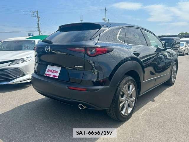 Mazda CX-30 2021-03 7812629-13