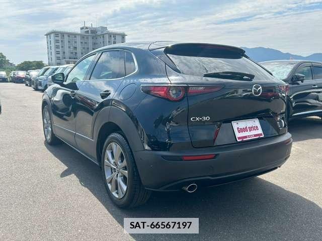 Mazda CX-30 2021-03 7812629-14
