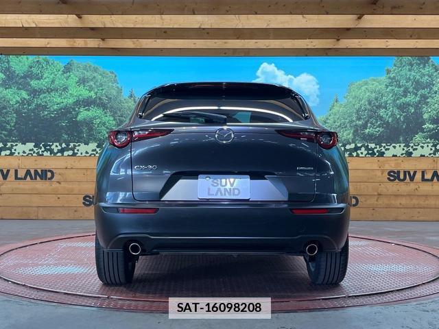Mazda CX-30 2021-02 7816252-14