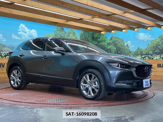 Mazda CX-30 2021-02 7816252-15