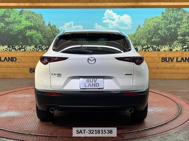 Mazda CX-30 2020-11 7816272-14