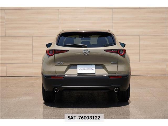 Mazda CX-30 2024-03 7820355-5
