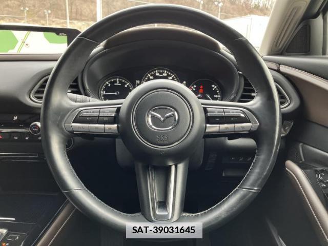 Mazda CX-30 2020-03 7820959-14