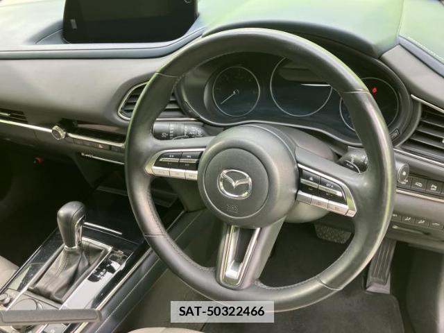 Mazda CX-30 2019-10 7821546-17