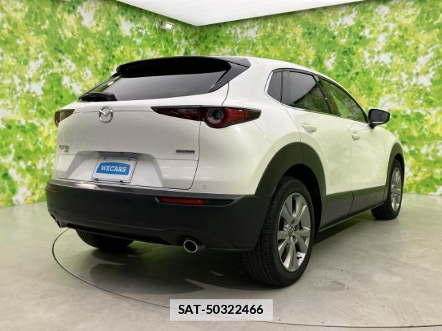 Mazda CX-30 2019-10 7821546-2