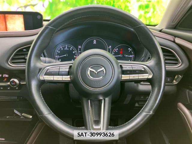 Mazda CX-30 2021-09 7821873-15