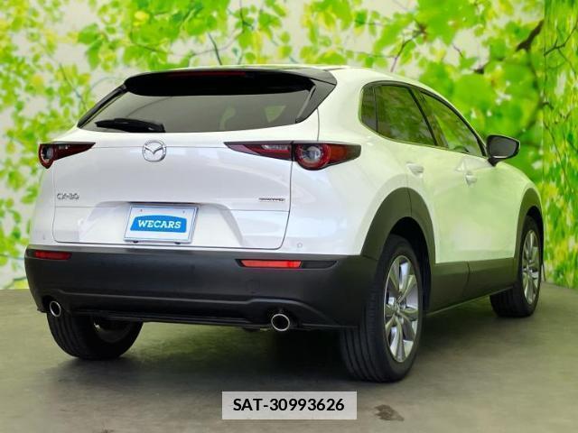 Mazda CX-30 2021-09 7821873-2