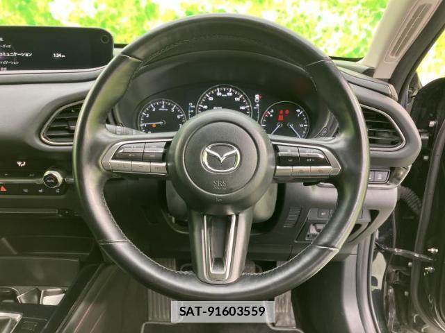 Mazda CX-30 2023-03 7822133-14