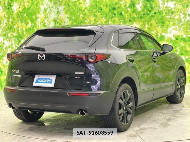 Mazda CX-30 2023-03 7822133-2