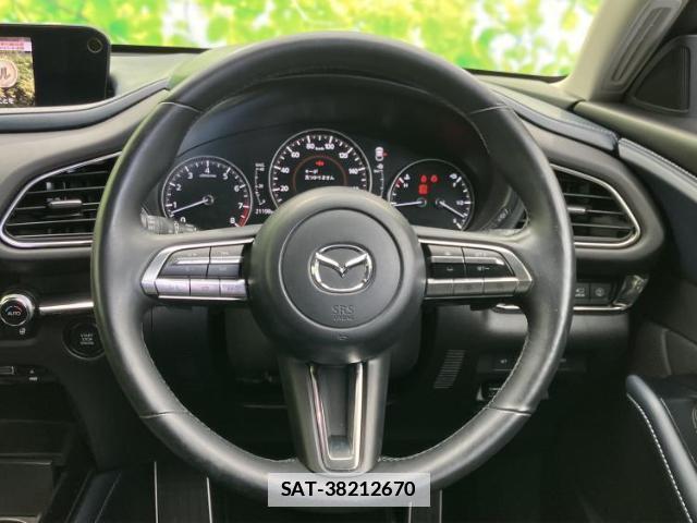 Mazda CX-30 2020-02 7822410-14