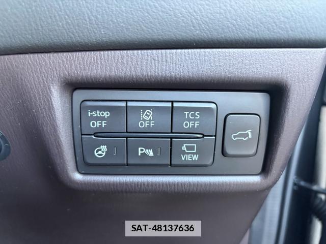 Mazda CX-8 2018-01 7812708-4