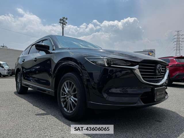 Mazda CX-8 2021-07 7816248-11