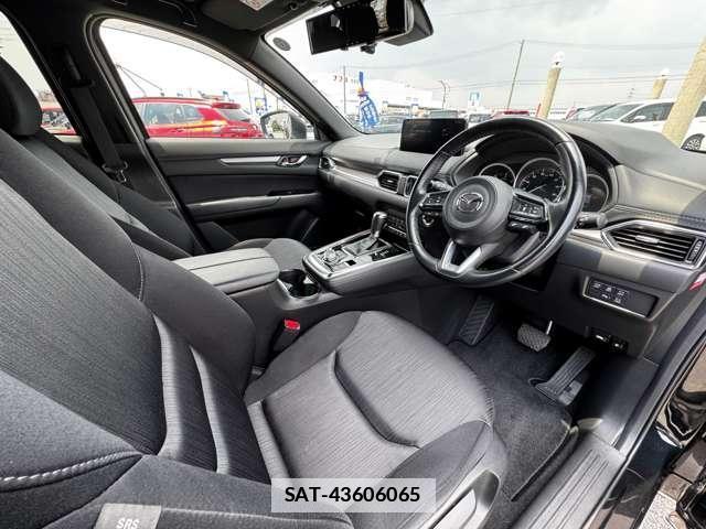 Mazda CX-8 2021-07 7816248-5