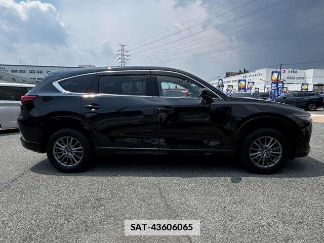 Mazda CX-8 2021-07 7816248-6