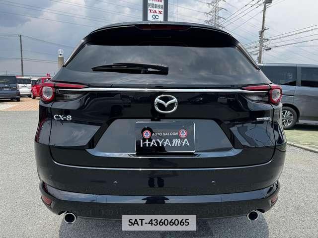 Mazda CX-8 2021-07 7816248-8