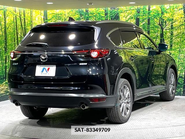 Mazda CX-8 2019-03 7818981-16