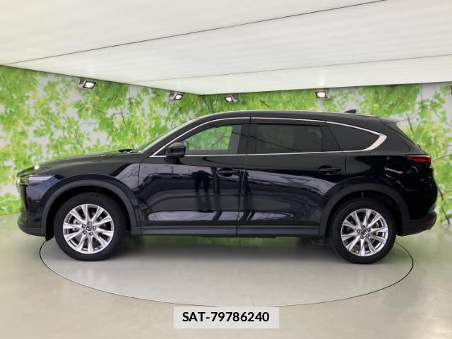 Mazda CX-8 2018-07 7821331-1