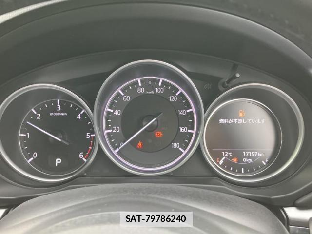 Mazda CX-8 2018-07 7821331-13