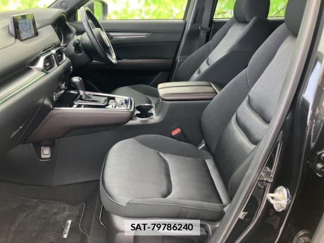 Mazda CX-8 2018-07 7821331-6