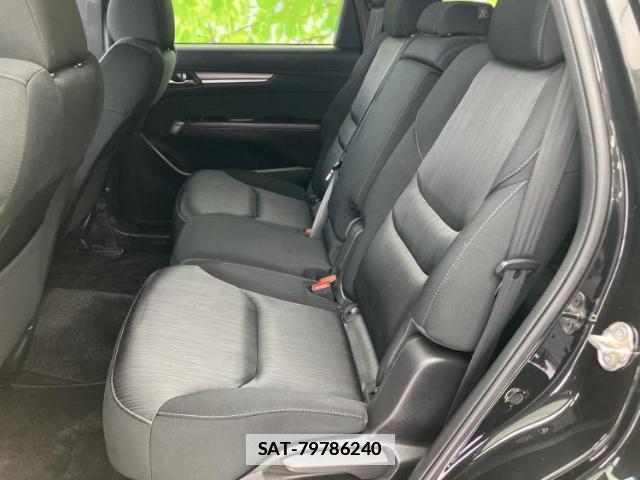 Mazda CX-8 2018-07 7821331-7