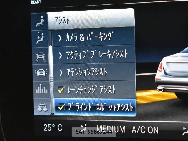Amg E-CLASS 2019-01 7818618-6