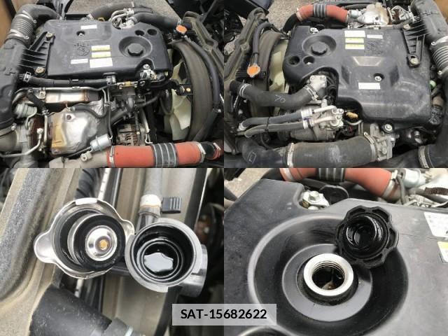 Isuzu ELF TRUCK 2019-06 7817429-10